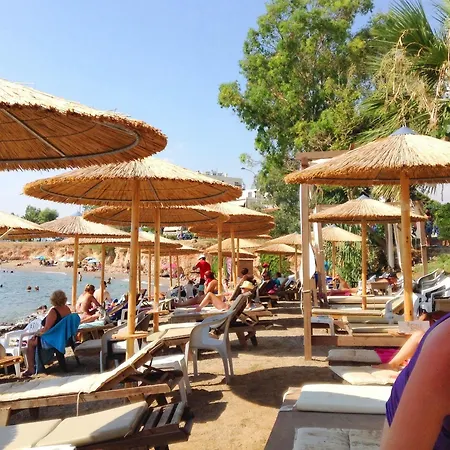 Galini Palace 3* Aten